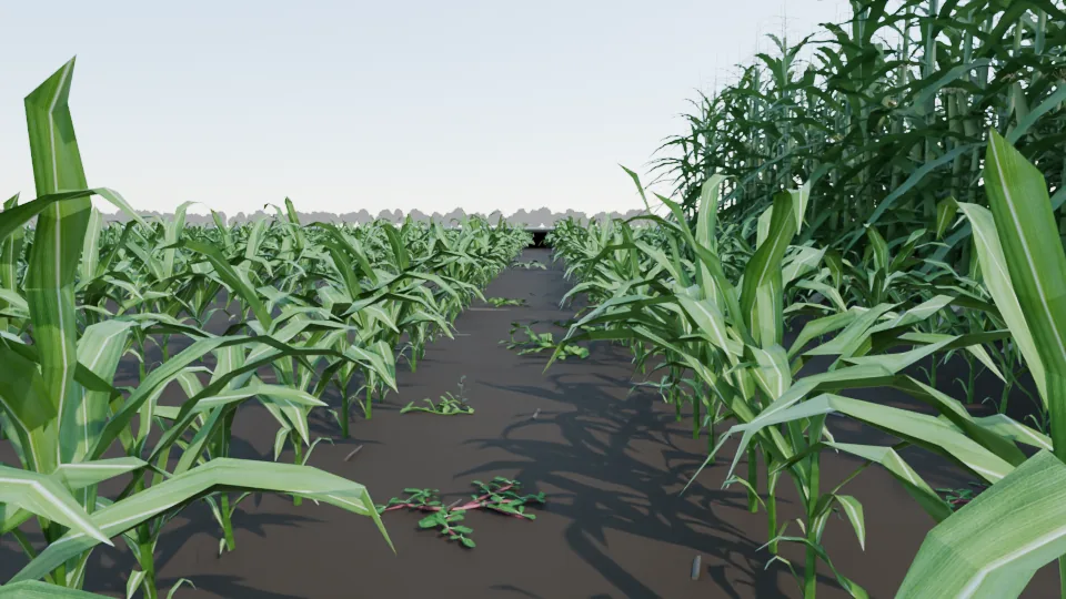 Rendered row-camera frame of young corn with weeds in the alley