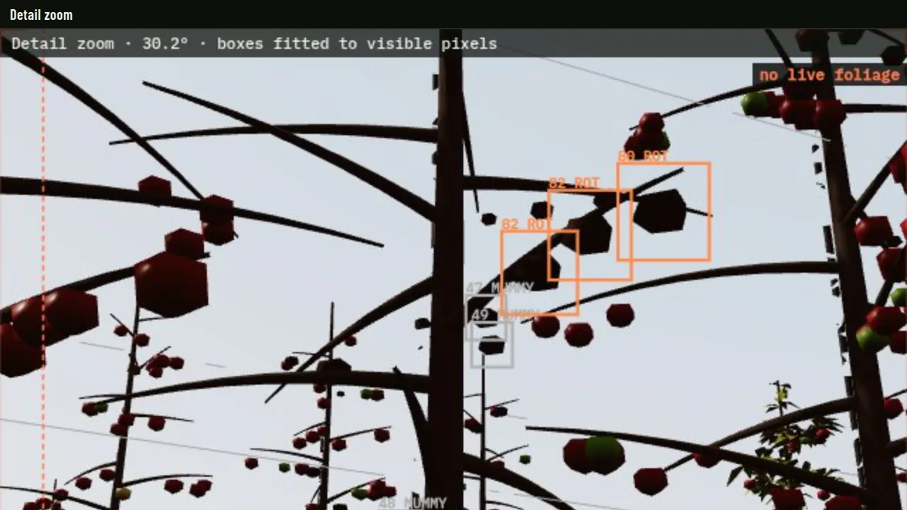 Detail zoom window with boxes around individual apples, fitted to the visible pixels