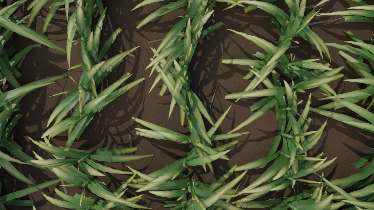 Rendered overhead view of corn plants from the scouting camera